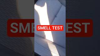 The Smell Will Tell