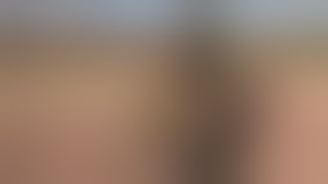 AR15 custom built with a Binary Trigger