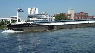 Binnenvaartschip IMPERIEUX (1980) - opvarig bij Mannheim - Rijn/Rhein