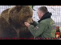 Взрослый медведь сосёт ладонь Андрея, потом хулиганит и отрабатывает приёмы ♥️ Медведь Мансур
