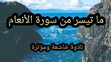 (ما تيسر من سورة الأنعام) أرح سمعك وقلبك تلاوة خاشعة  ( القارئ مصطفى أبو حذيفة)
