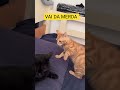 aquela sensação de que vai da merda