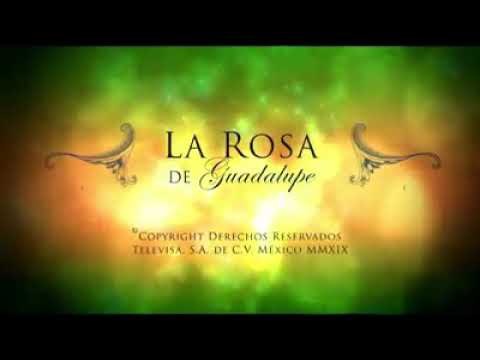 La Rosa de Guadalupe — Gelatinas Mágicas Parte 1 - YouTube