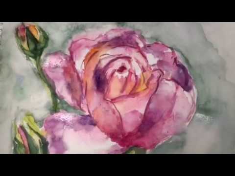 Как научиться рисовать розу акварелью? How to learn how to draw a rose in watercolor?