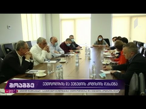 ეუთო/ოდირისა და ვენეციის კომისიის დასკვნა - პოლიტიკური შეფასებები