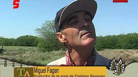 MIGUEL FAGAN PRODUCTOR AGROPECUARIO