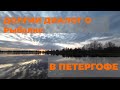 Диалоги о рыбалке внезапно в Петергофе