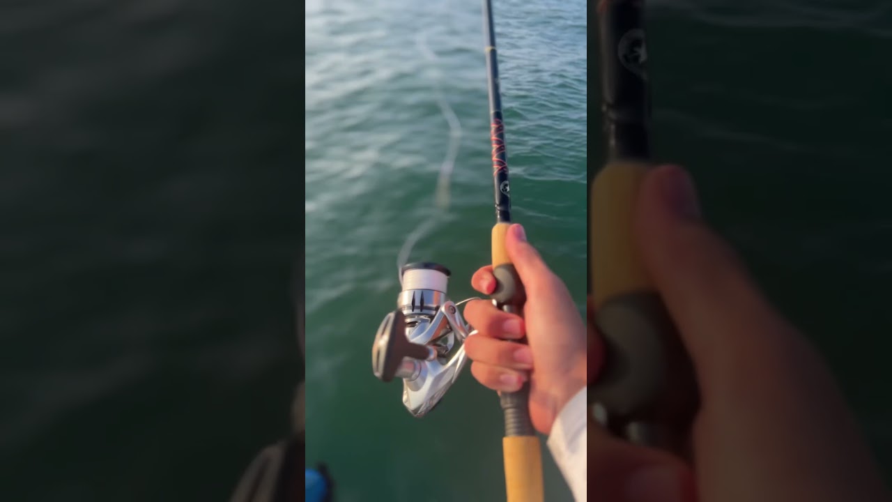 I got the static and star rod for my birthday