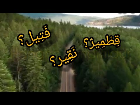 ما معنى قطمير نقير و فتيل المذكورة في القرآن الكريم