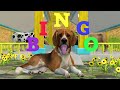 BINGO Song ❤️🐶💚 Fun Kids Super Simple Songs Animation