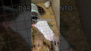 How To Unhear? シViral