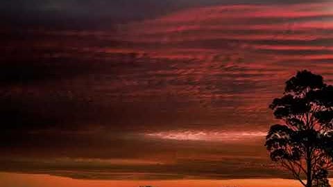 تلاوة من سورة التوبة القارئ عبدالعزيز التركي 🎙