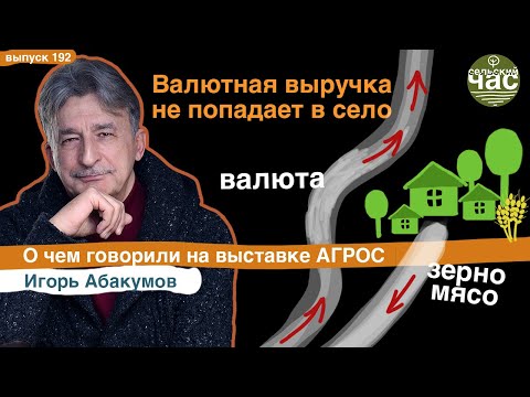 Валютная выручка не попадает в село. Сельский час #192 (Игорь Абакумов)