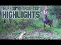 Thursday's Trail Cam Highlights: 10-1-20