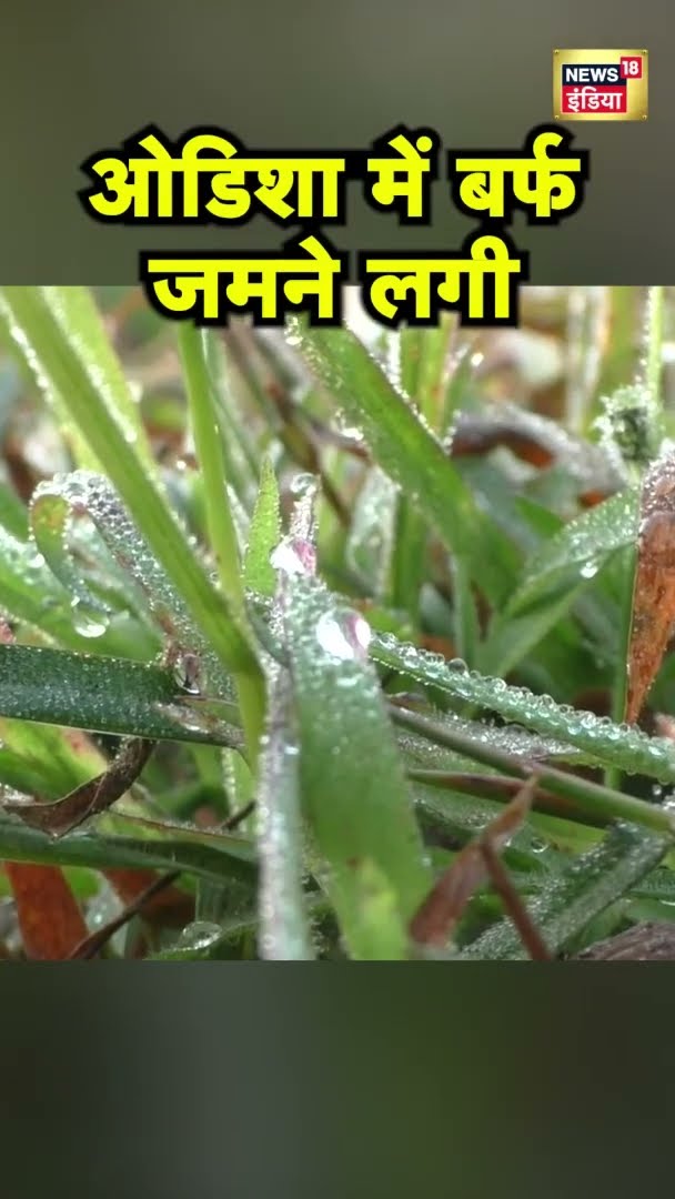 ओडिशा में तापमान में भारी गिरावट, जमने लगी बर्फ़ | Weather News | Odisha News | News18 India
