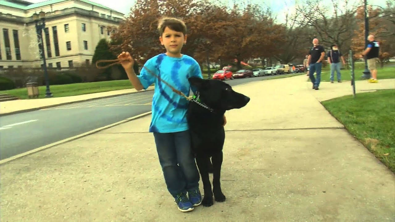 informational social influence Kids & Dogs