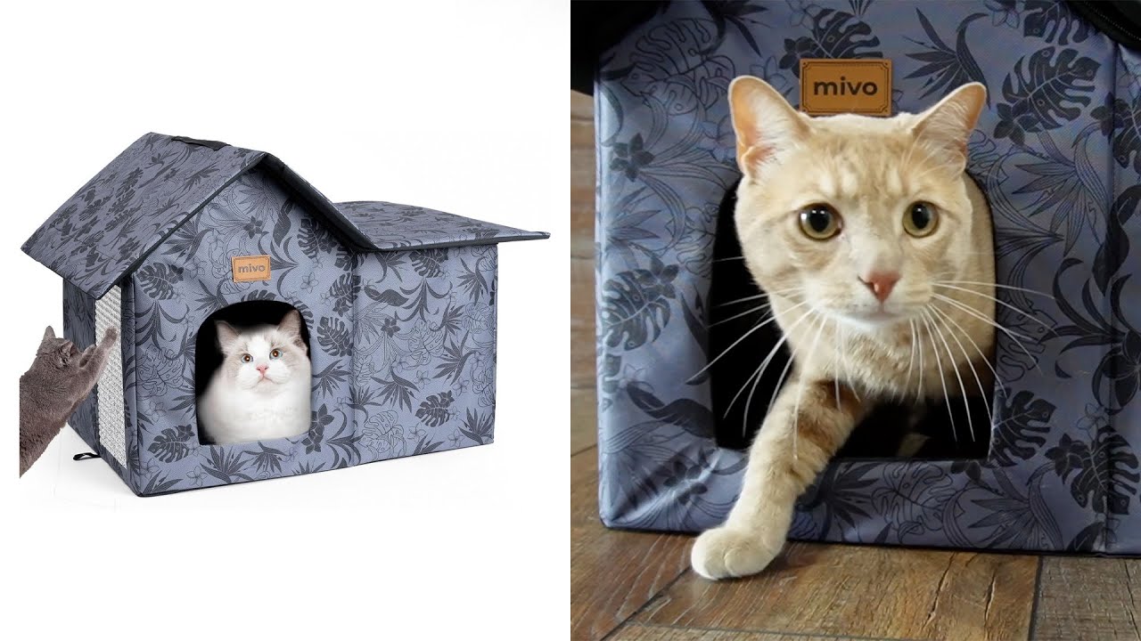 I Love The Mivo Outdoor Cat House YouTube