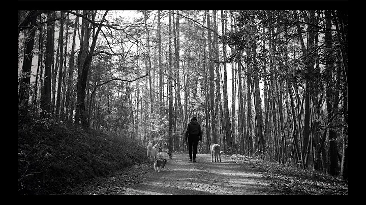 Amy Ray- MUSCADINE (Official Music Video)