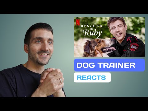 Video: ¿Una nueva forma de adoptar? Dog Trainer ofrece perros de rescate entrenados para la venta