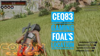 3 Foal's locations in Exiled lands