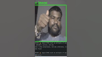 Object Detection