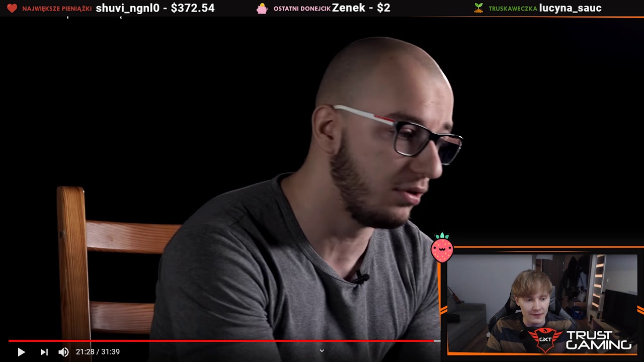 Arquel koty na ulicy