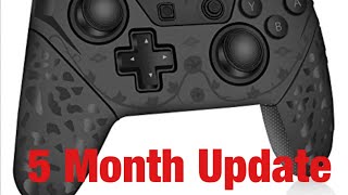 RegeMoudal Nintendo Switch Controller 5 Month Update