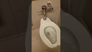 Short flush problem on your commercial toilets?