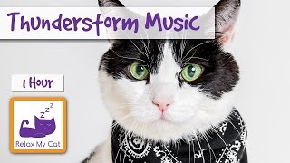 Relaxation Music for Your Cat During Thunderstorms