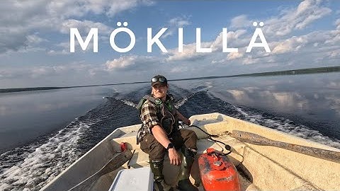 Pitkästä aikaa mökillä! Mökkireissu Suomussalmelle