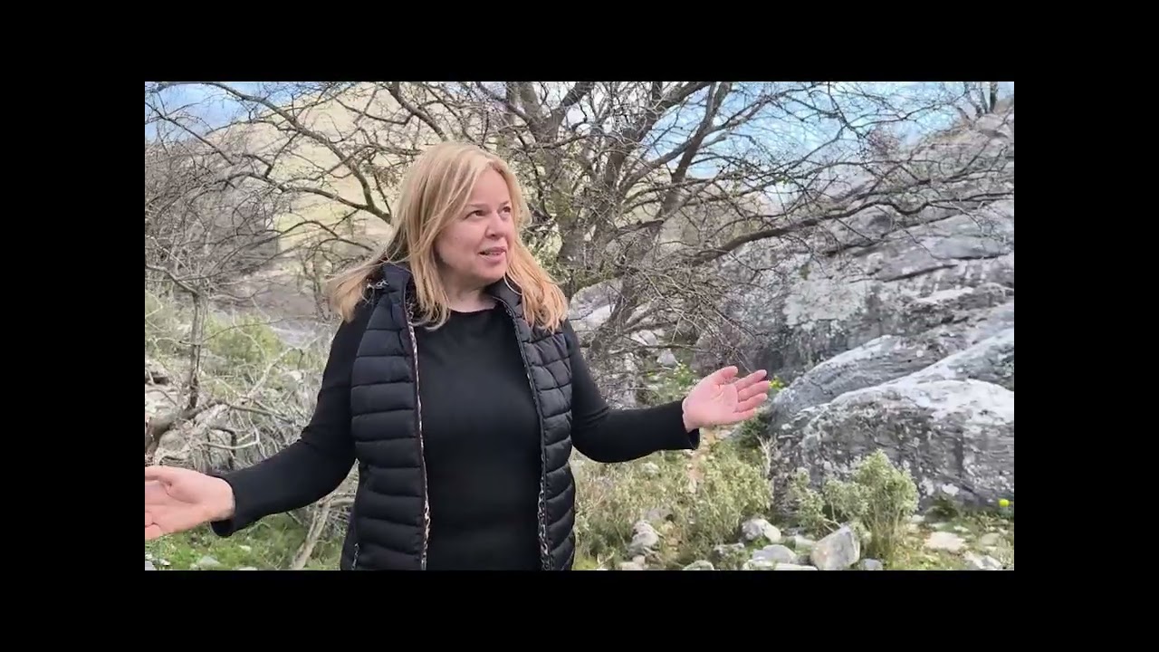 Πολυάραβος: Η μάχη στο πέρασμα