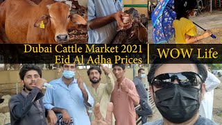 Dubai Cattle Market 2021    Eid Al Adha Prices