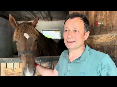 {4C38653B 0463 429E ADB3 D7CA0CBF232E}