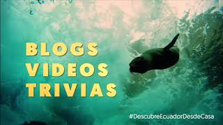 Descubre Ecuador desde Casa