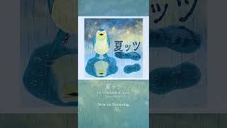 新曲「夏ッツ」配信開始 ☔️⭐️ #TORAUMA #KK #iknow @TORAUMA