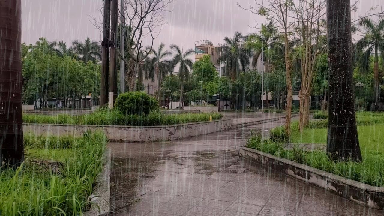 Fall Asleep Instantly to Rain in the Park, Natural White Noise for Deep Rest