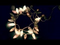 Holiday Twinkle Lights