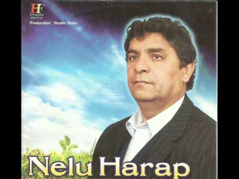 Download Nelu Harap - De n-ai fi fost Doamne cu mine