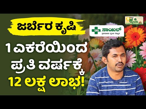 1 ಎಕರೆಯಿಂದ ಪ್ರತಿ ವರ್ಷಕ್ಕೆ 12 ಲಕ್ಷ ಲಾಭ! | ಜರ್ಬೆರ ಕೃಷಿ  | Vistara Krishi | Gerbera Krishi | Flower