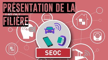 La filière Systèmes embarqués et objets connectés (SEOC)