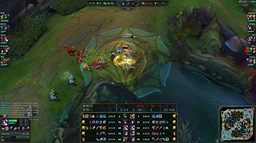 Fiora vital bug