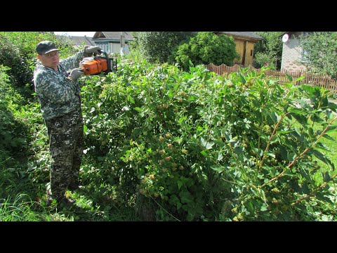 Как сделать кусторез своими руками видео