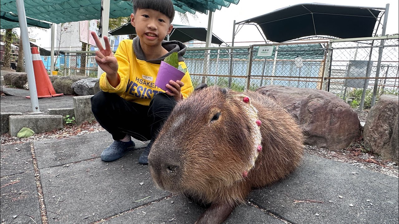 2/12宜蘭一日遊～星夢森林劇場、羅東夜市