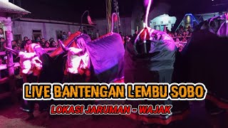 LIVE BANTENGAN LEMBU SOBO‼️LOKASI JARUMAN - WAJAK❗