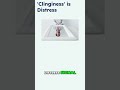 Your Clinginess IS a Biological Distress Signal! #shorts