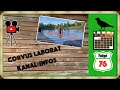 Hurra ! Ich lebe noch .... | WAM 76