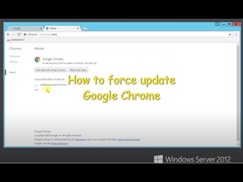 How to force update Google Chrome Browser