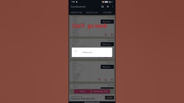 cam scanner hang bug