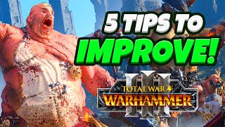 Campaign Tips For Beginners - Total War: Warhammer 3 Beginner Guide