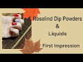 Rosalind Dip Powder/Liquid Review